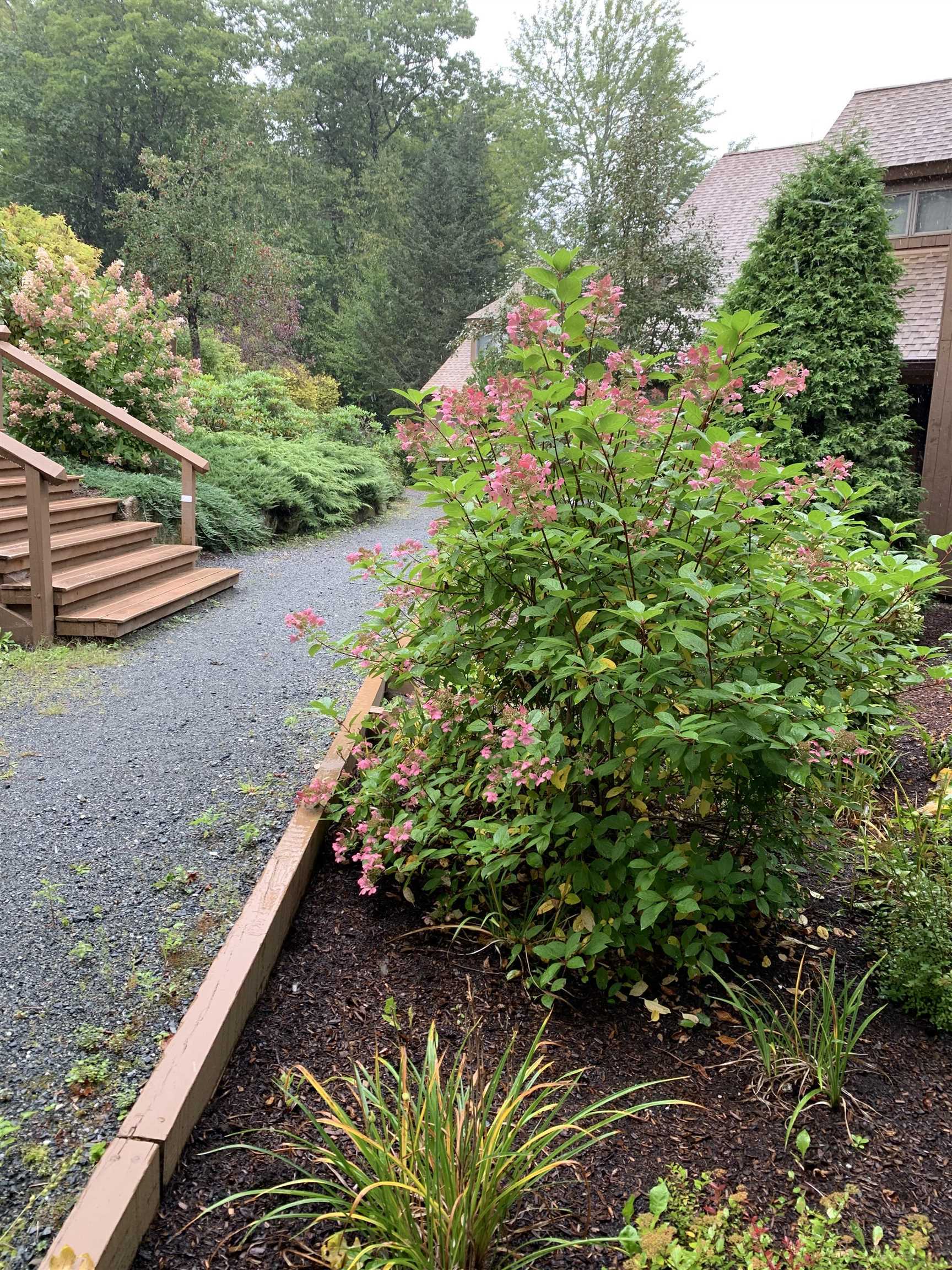 Property Photo:  4 Lakeview Place  NH 03753 