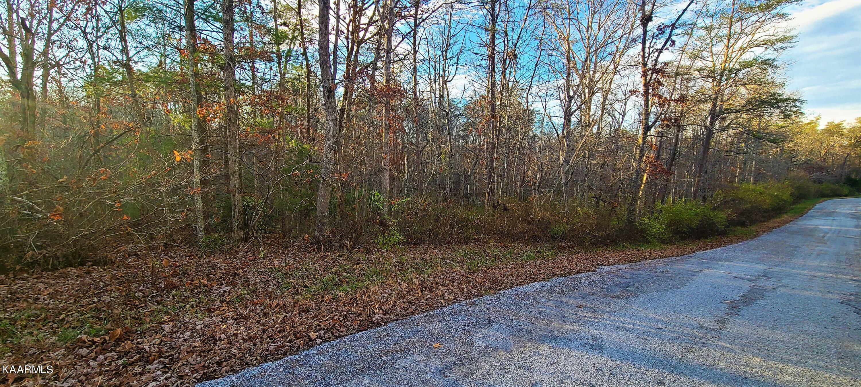 Property Photo:  5038 Zuni Lane  TN 38572 