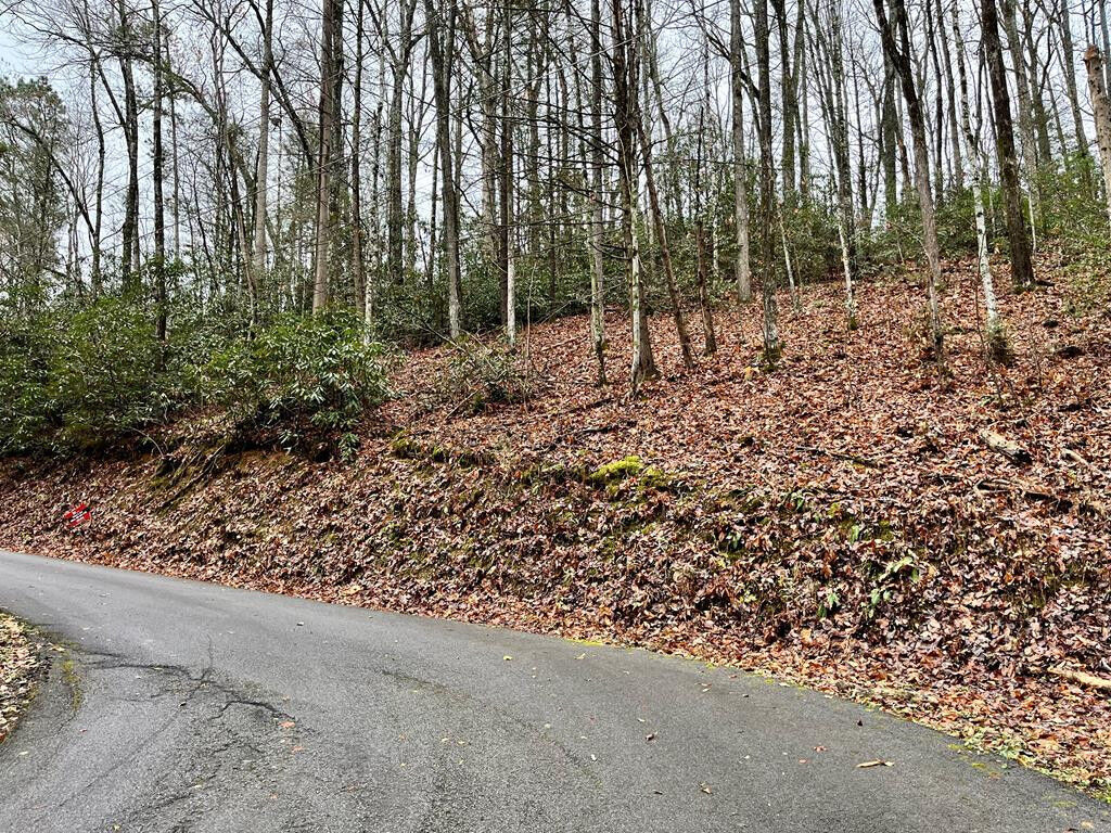 Property Photo: Lot 32 C Highland Drive TN 37738