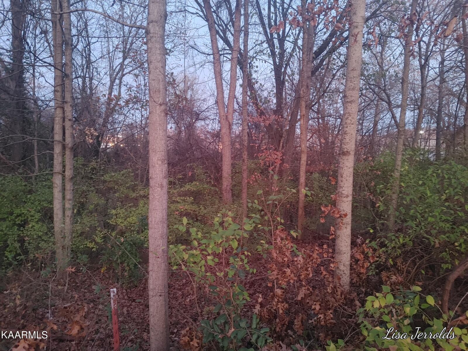 Property Photo: 304 W Young High Pike TN 37920