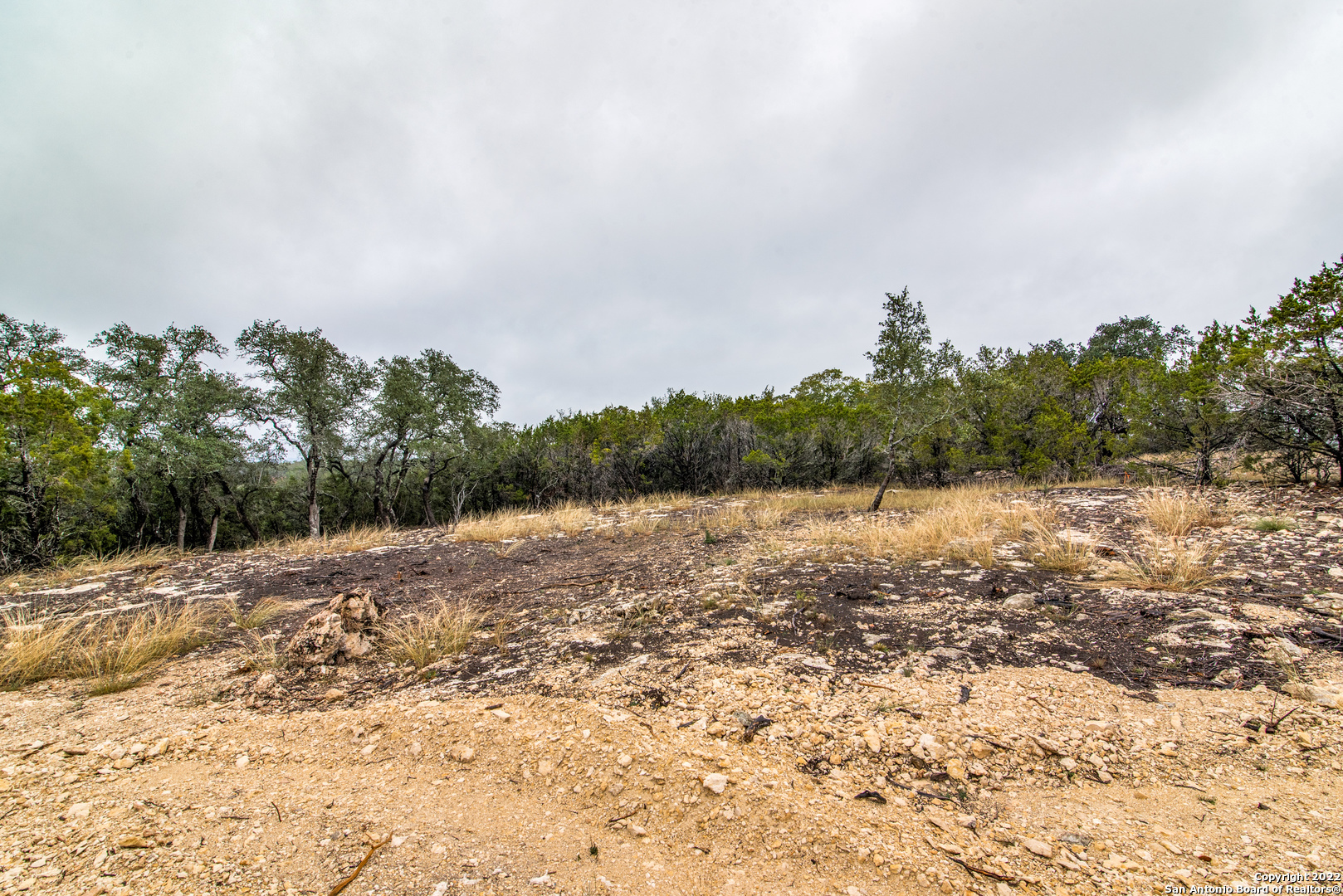 Property Photo:  633 Travis Forest Dr  TX 78163 