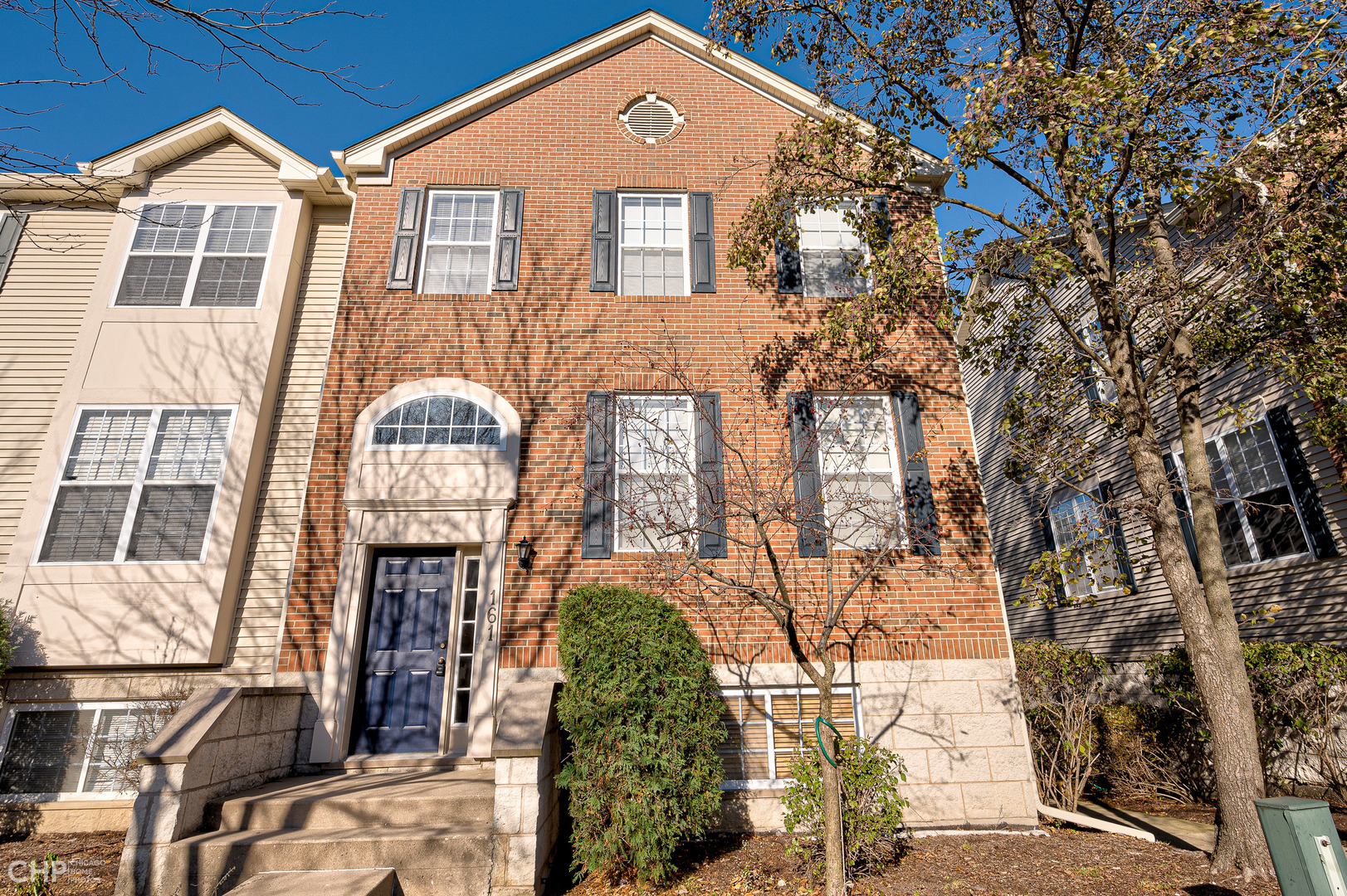 Property Photo: 161 Willow Boulevard 908D IL 60480