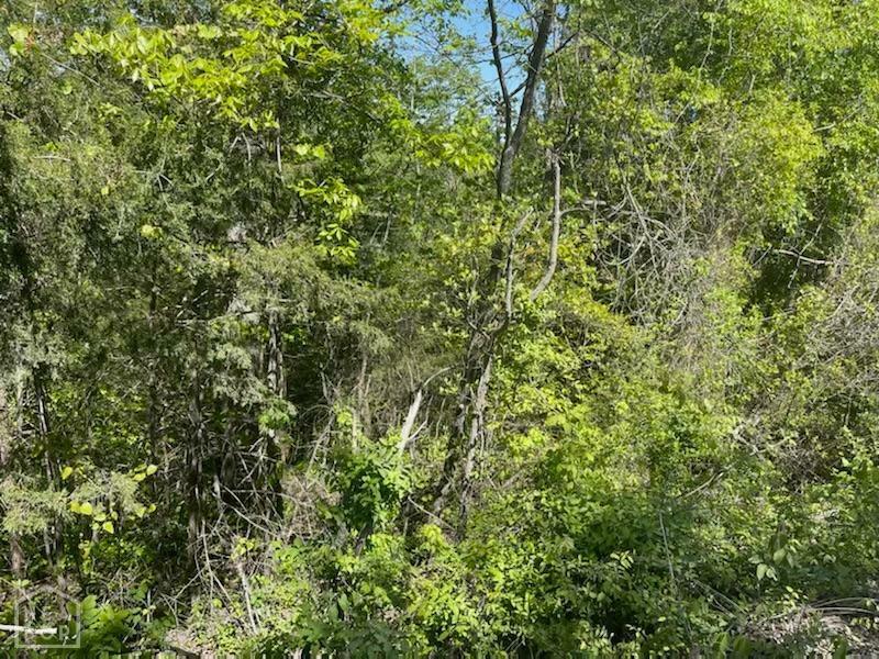 Property Photo: 216 Renegade Lane AR 72687