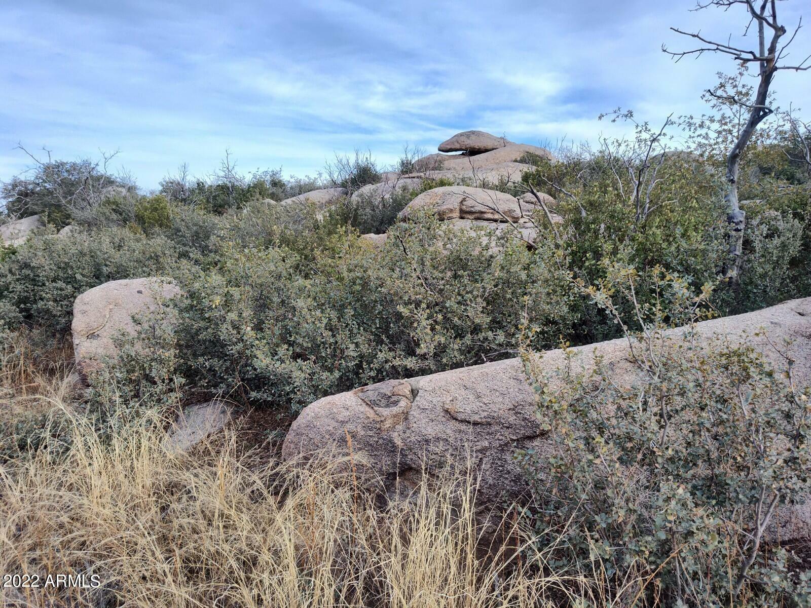 Property Photo:  22903 S Lakewood Court  AZ 85362 