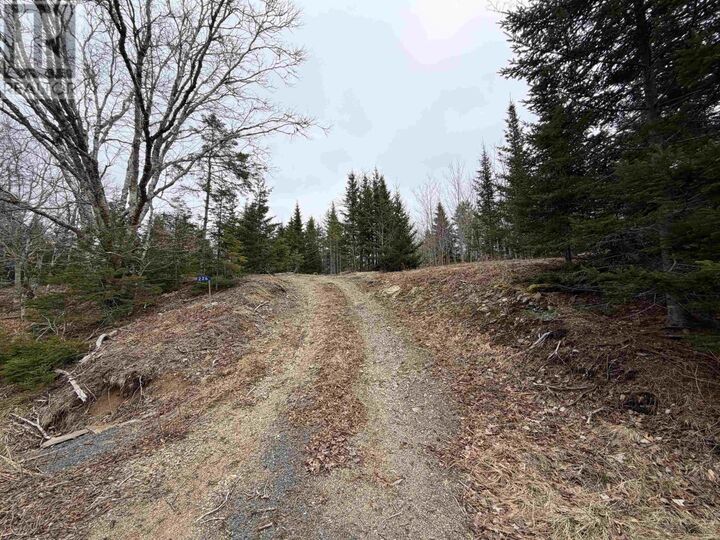 Property Photo:  Lot 22-3 226 Brookville Branch Road  NS B2H 5C7 