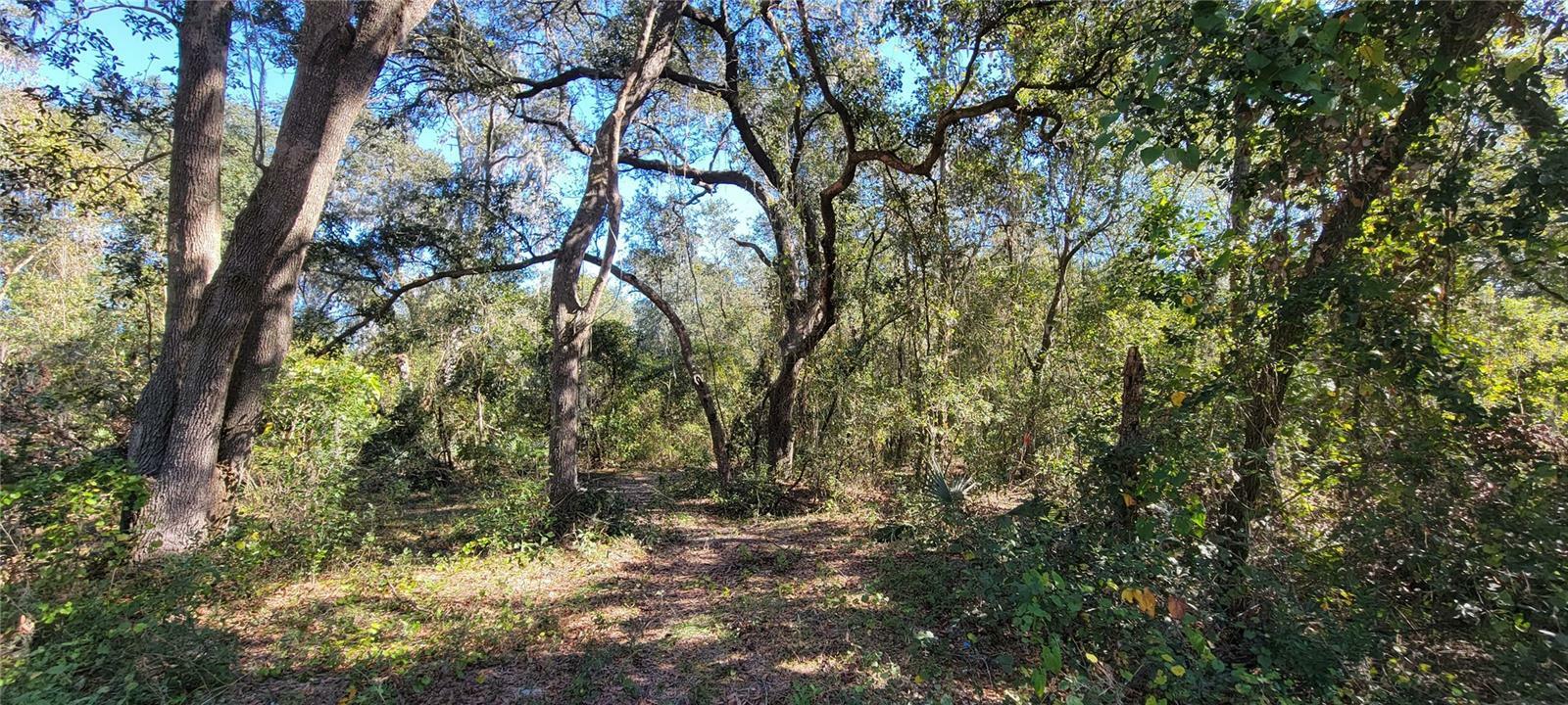 Property Photo: Sydney Washer Rd FL 33527