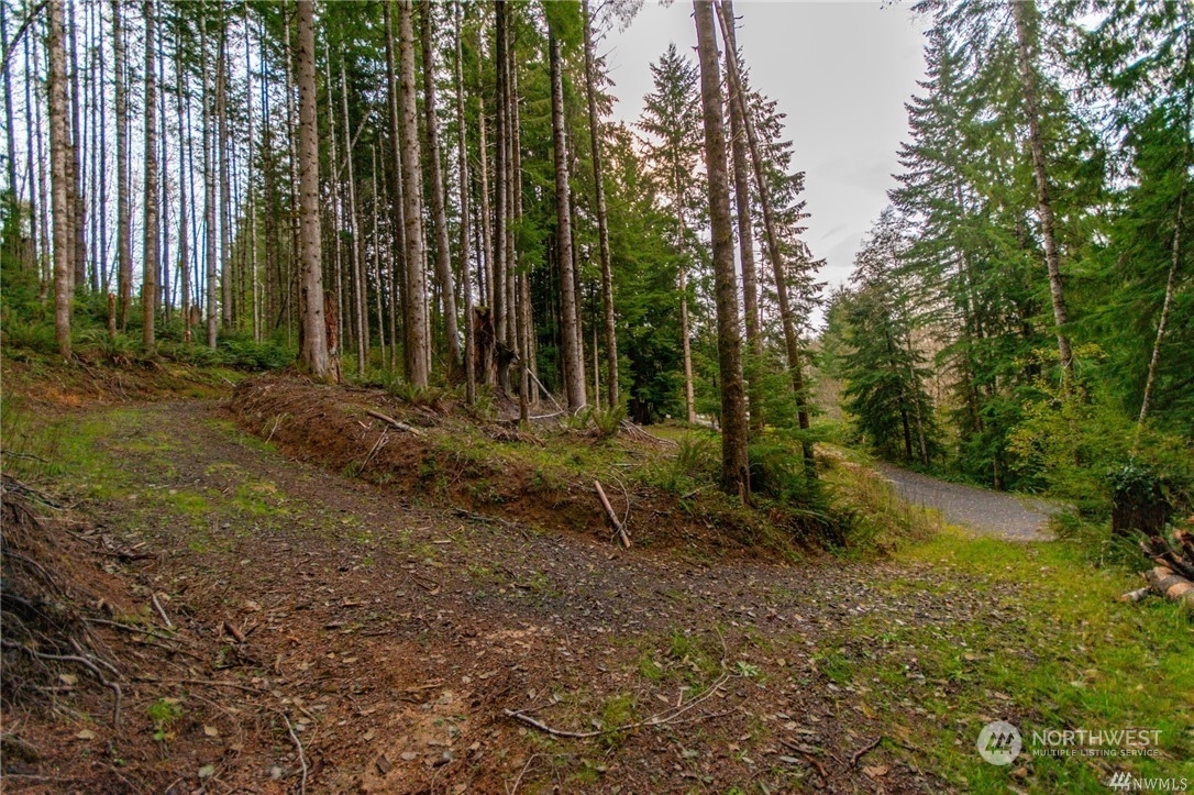 Property Photo: 144 Bison Run WA 98632