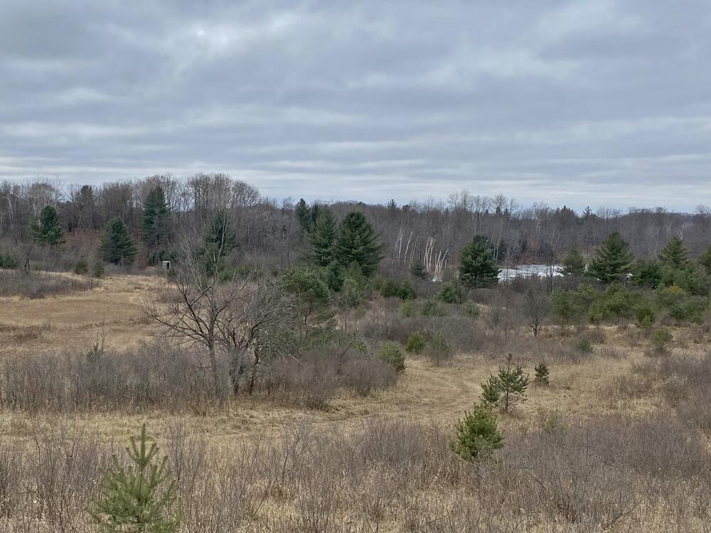 Property Photo: 19731 65th Avenue MI 49305