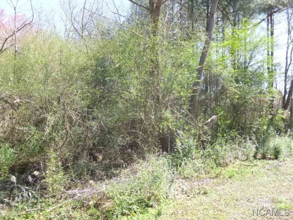 Property Photo:  Lot 55 Clarendon Rd  AL 35057 - CULLMAN 