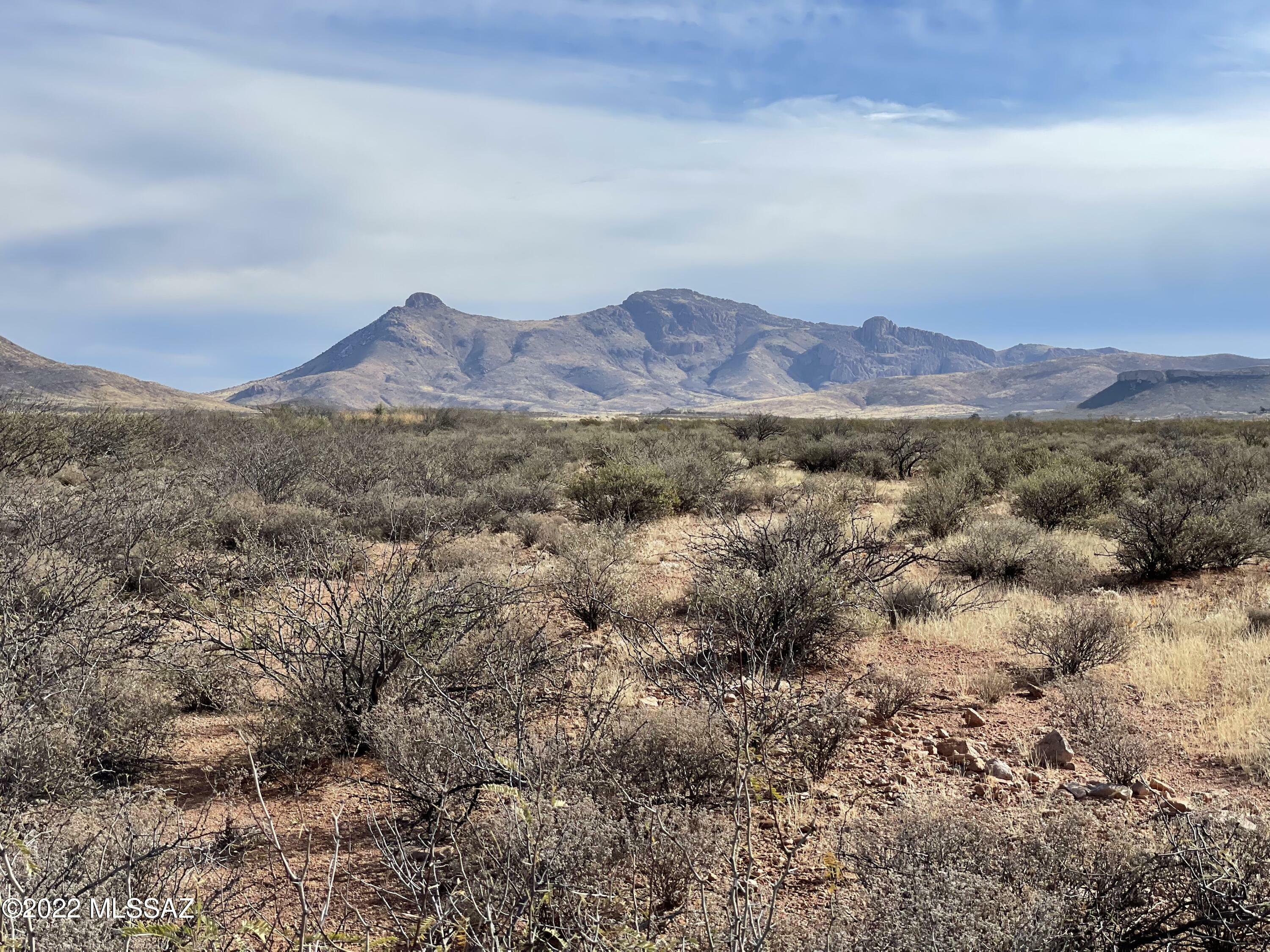 Lot 232 Coronado Development 232  Douglas AZ 85607 photo