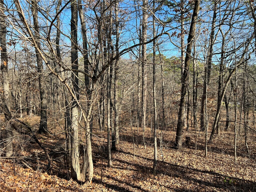 Property Photo:  Elton Lane  AR 72714 