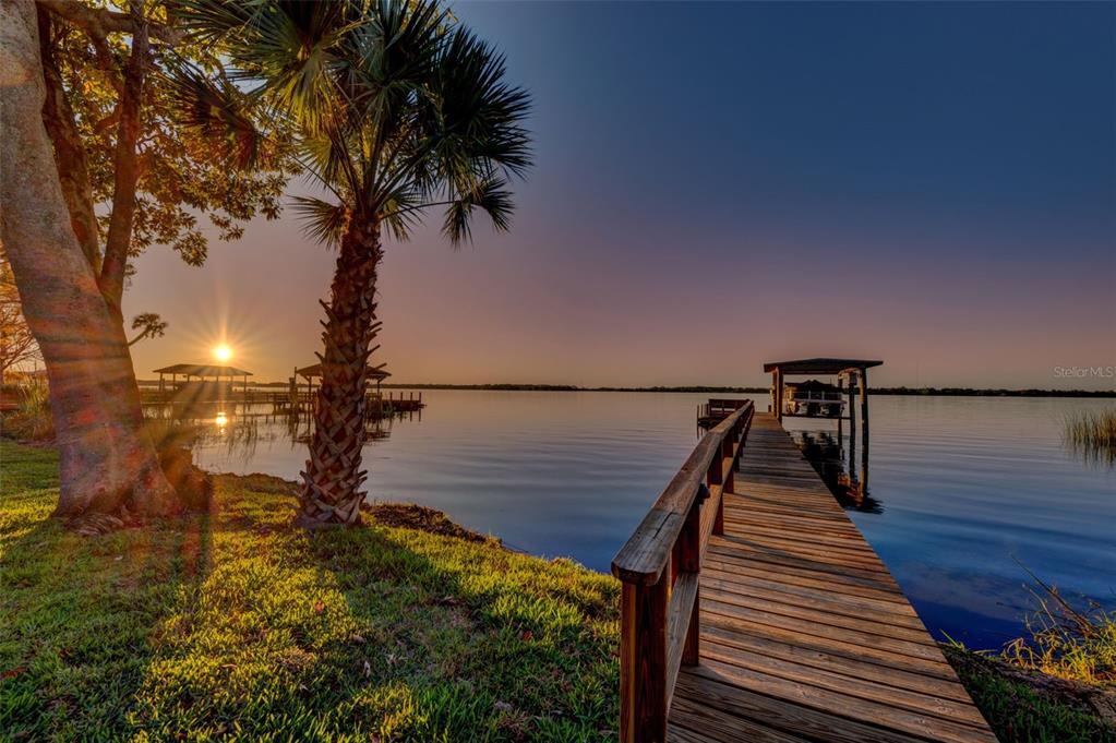Property Photo: 3755 Mullenhurst Drive FL 34685