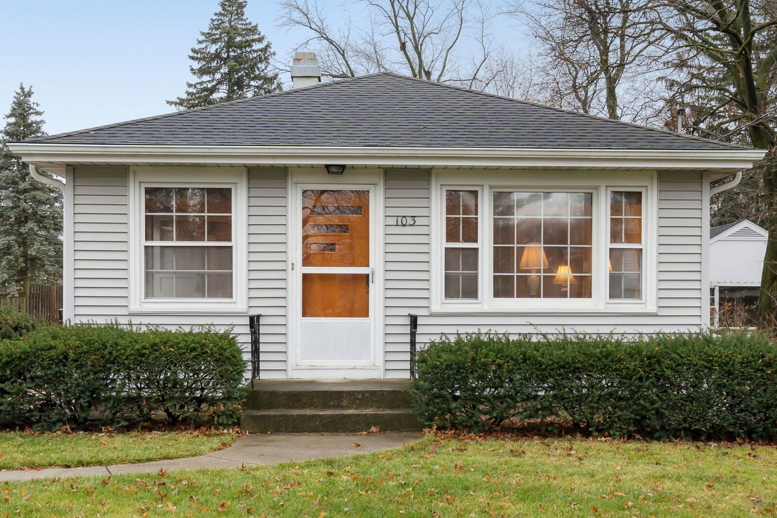 Property Photo:  103 E Des Moines Street  IL 60559 