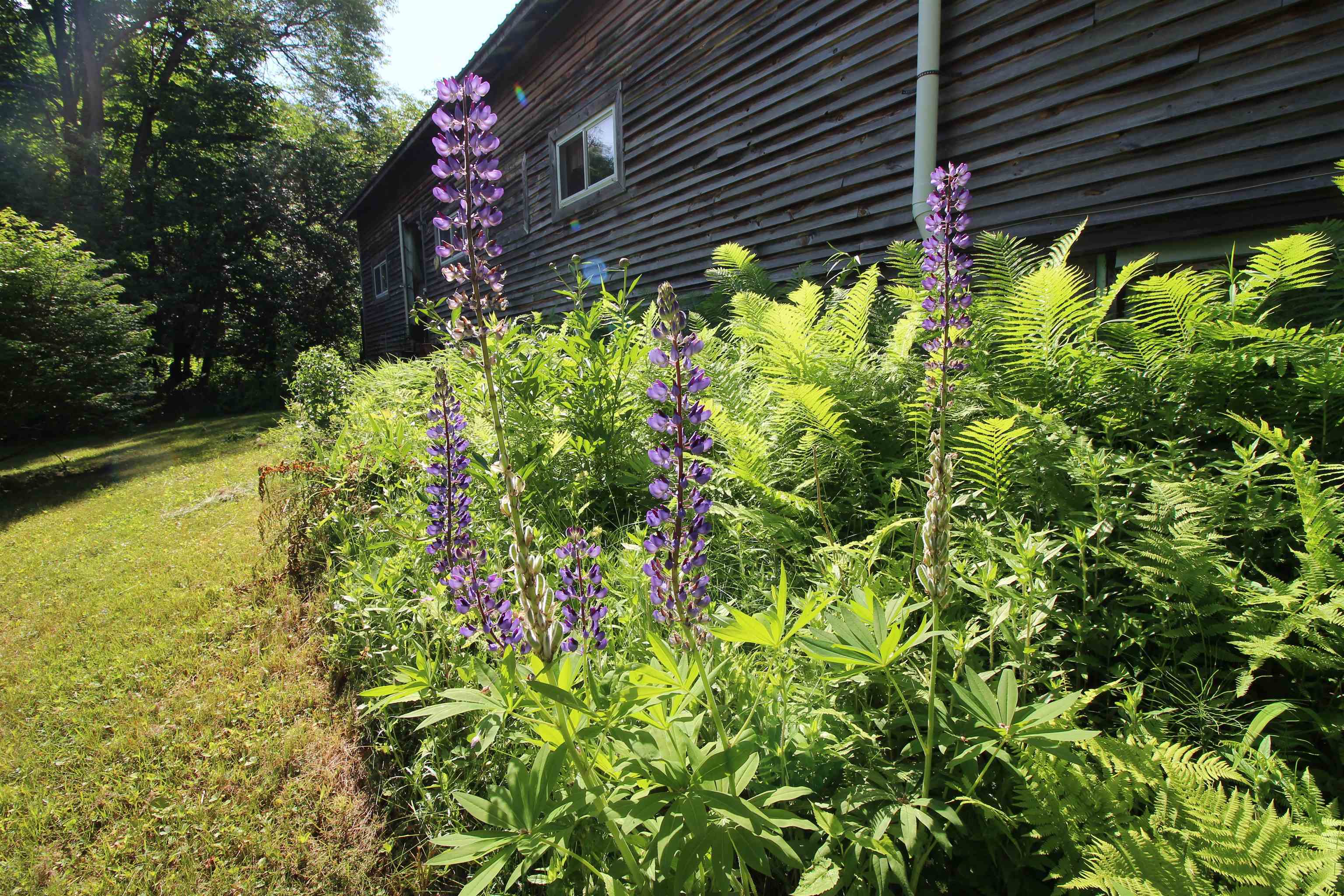Property Photo: 791 Smutty Hollow Road NH 03771