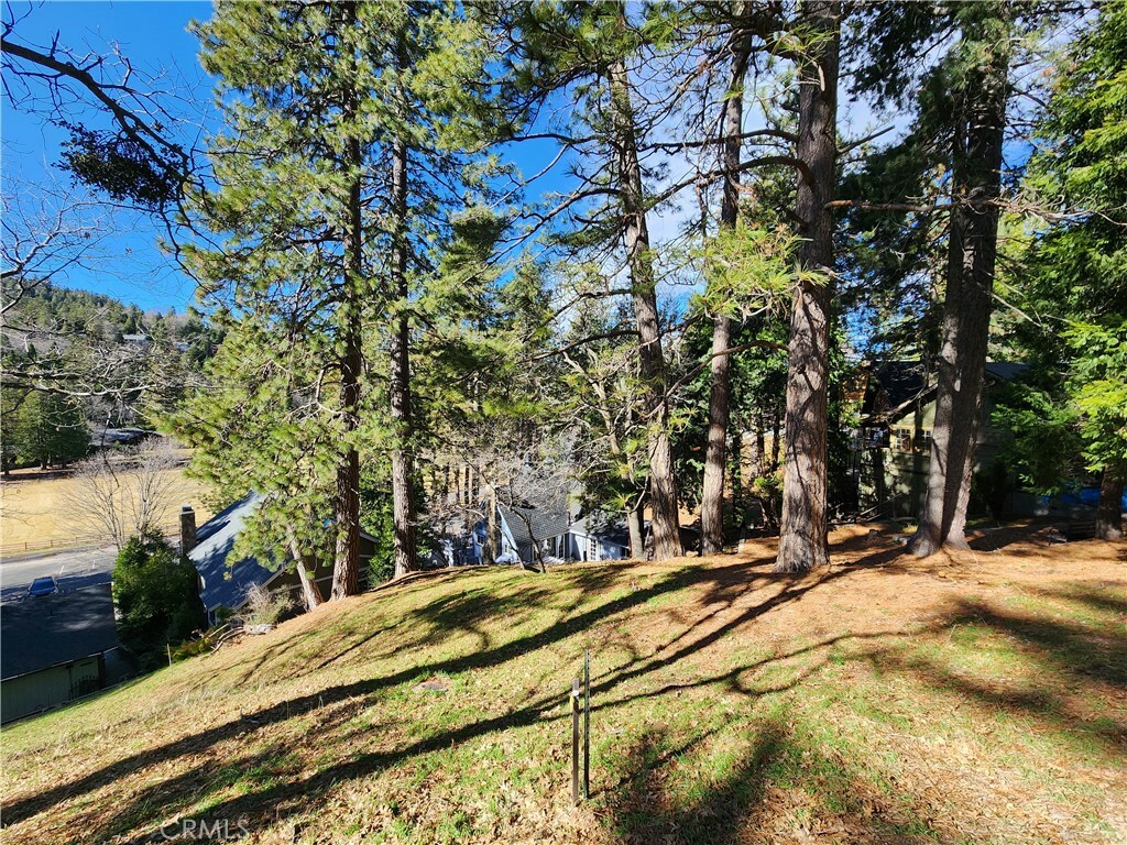 Property Photo:  0 San Moritz Drive  CA 92325 