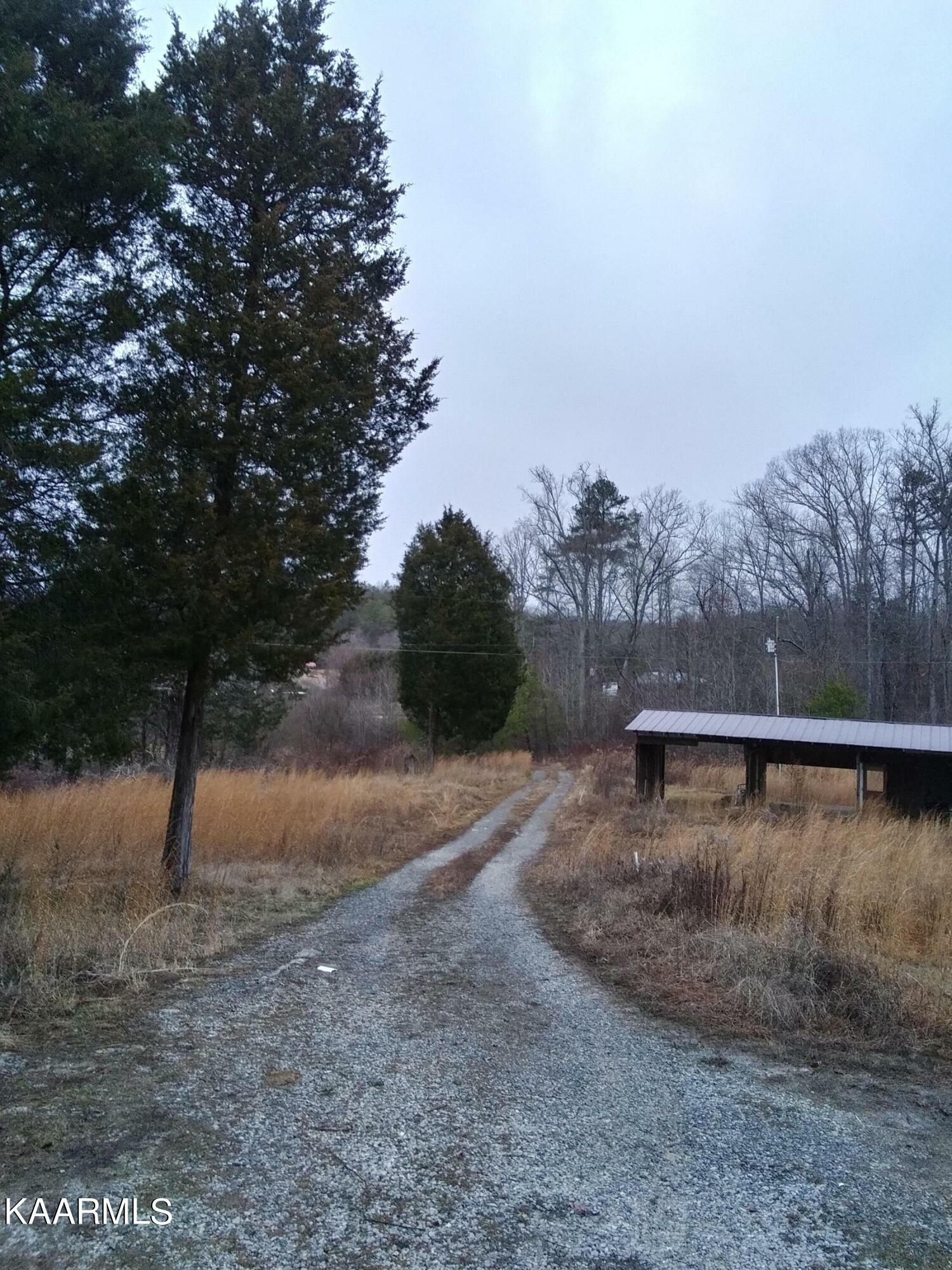 Property Photo:  164 Collins Road Rd  TN 37840 