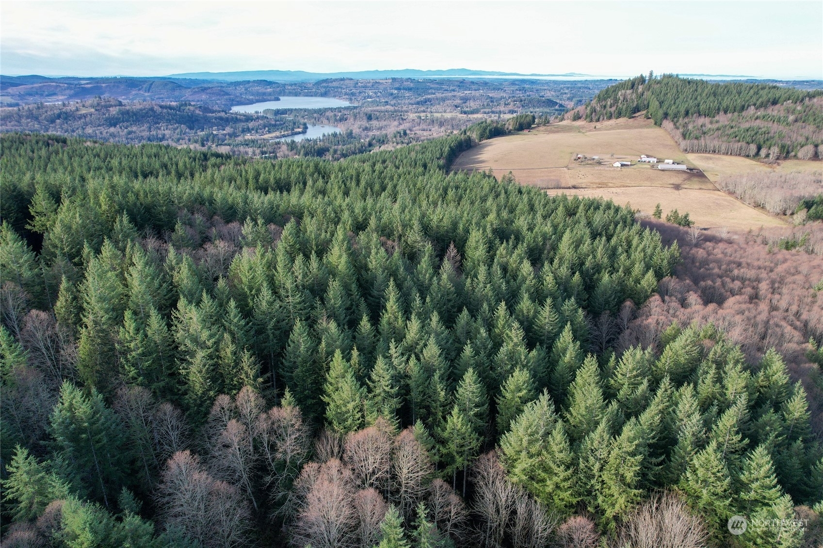 Property Photo: 330 Kjesbu Road WA 98585