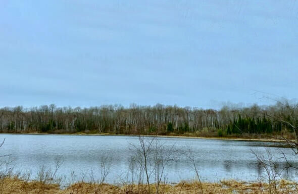 00 Chippewa Trail  Johannesburg MI 49751 photo