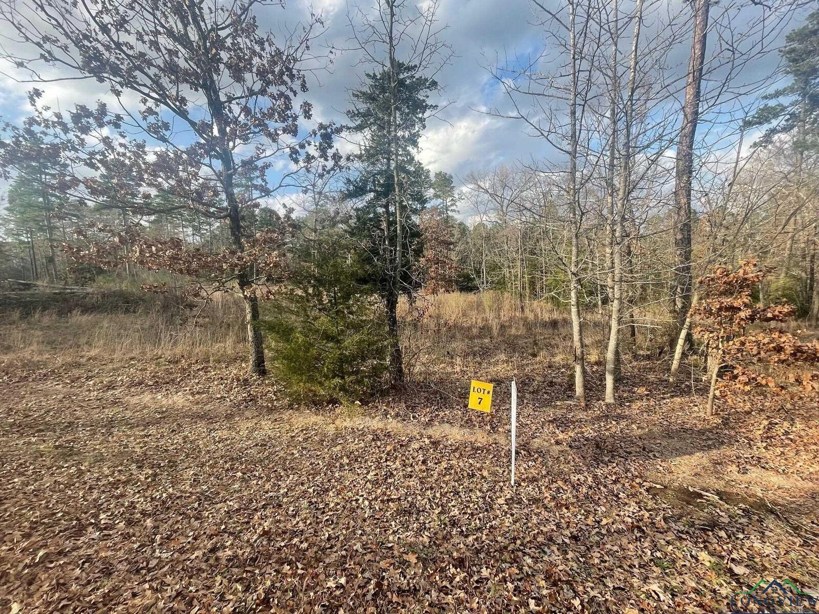 Property Photo: Lot 7 Lake Gladewater Rd TX 75647