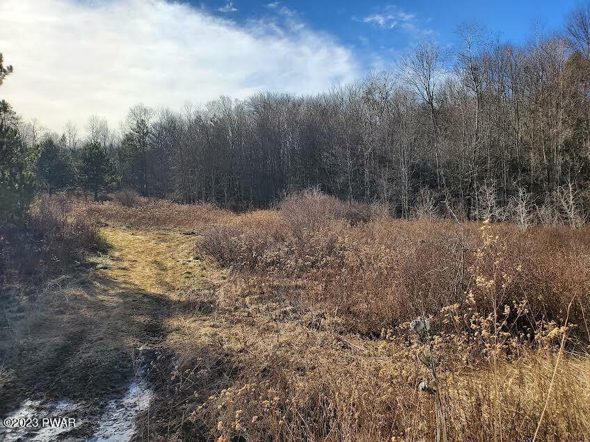 Property Photo:  Lot 96-100 Long River Road  PA 18445 