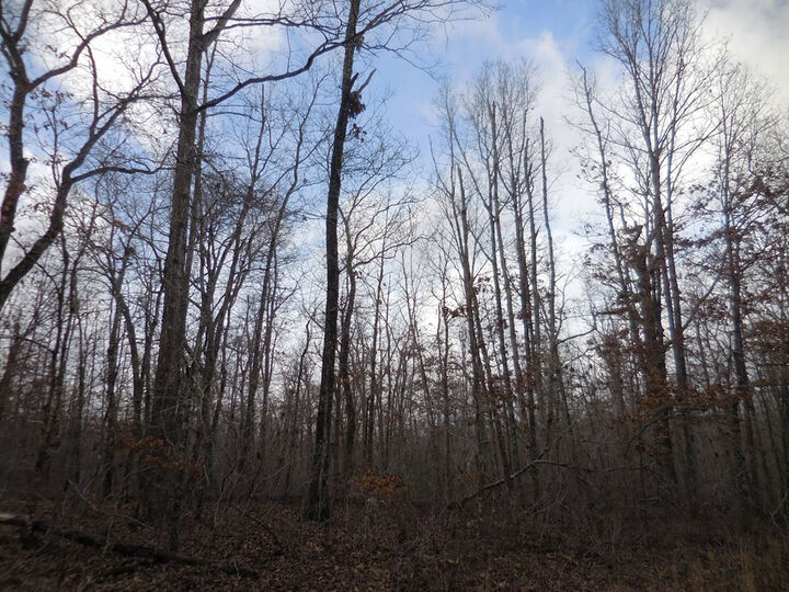 Property Photo: 3008 Diego Drive TN 38572