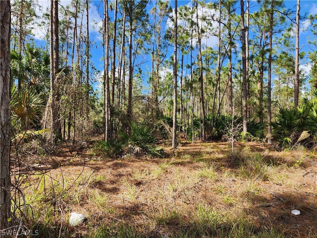 Property Photo: 1215 Broadway Avenue FL 33972