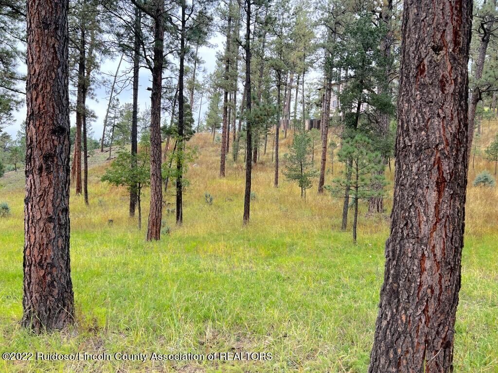 Property Photo:  606 White Mountain Meadows Drive  NM 88345 