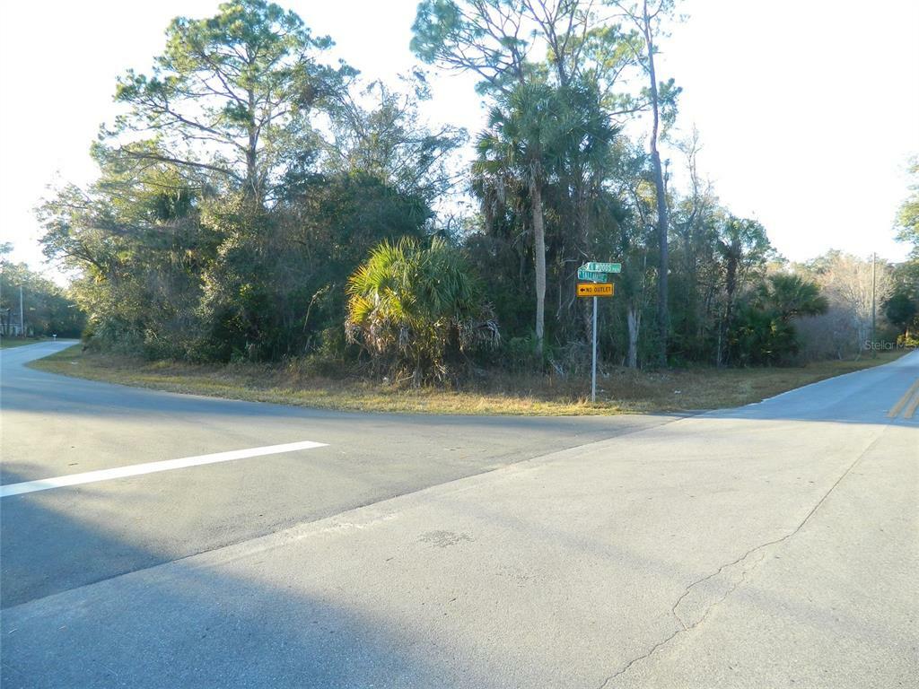11357 W Indian Woods Path  Crystal River FL 34428 photo