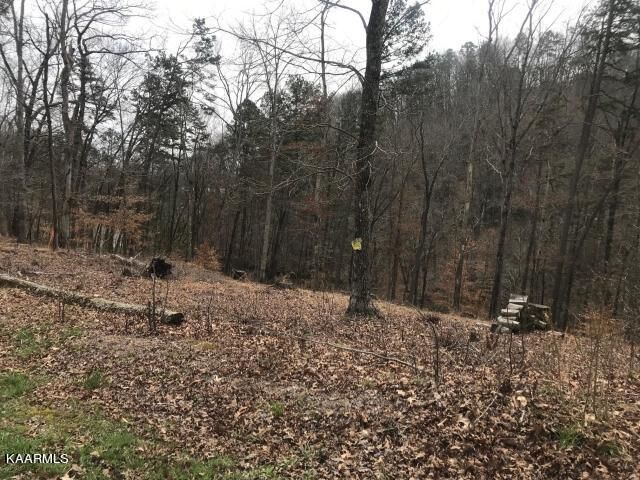 Property Photo: Sawmill Cove TN 37854