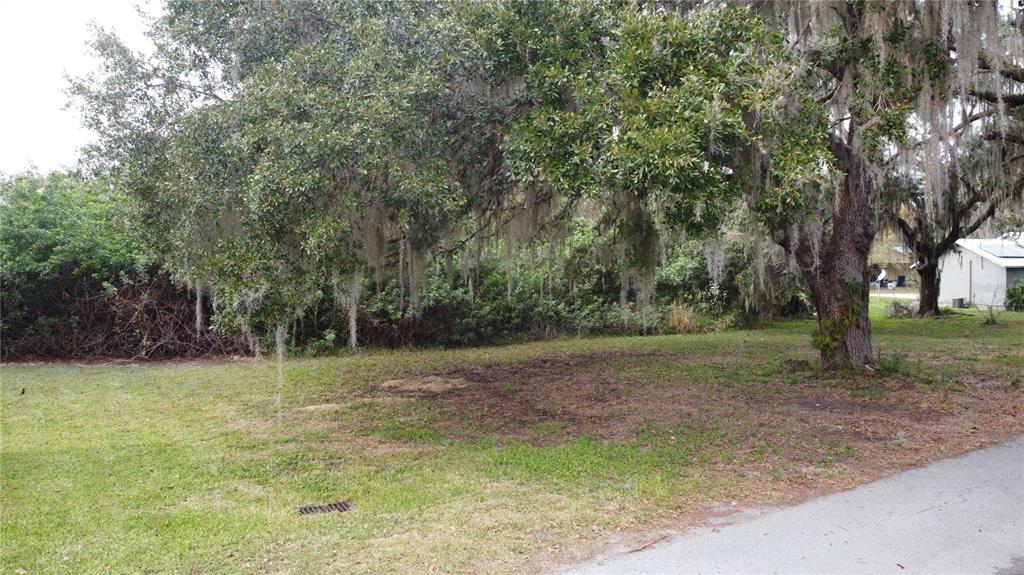 Property Photo:  0 Argyle Avenue  FL 33843 