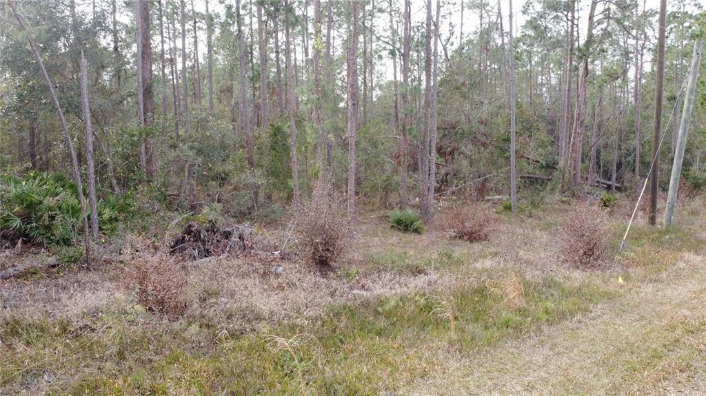 Property Photo:  0 US Hwy 27  FL 33843 