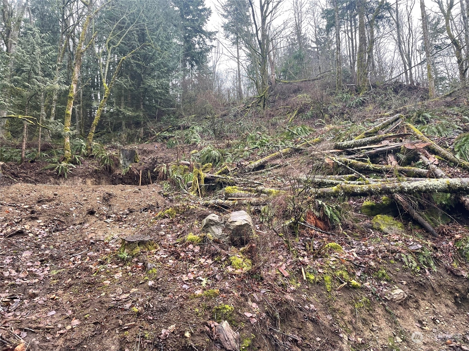 Property Photo: 0 Brays Way WA 98226