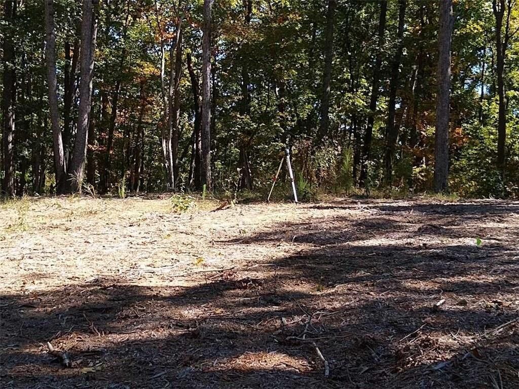 Property Photo: 0 Nowak Rd GA 30161