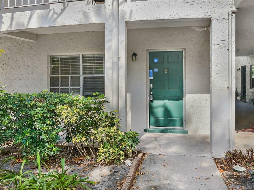 Property Photo: 4335 Aegean Drive 116A FL 33611