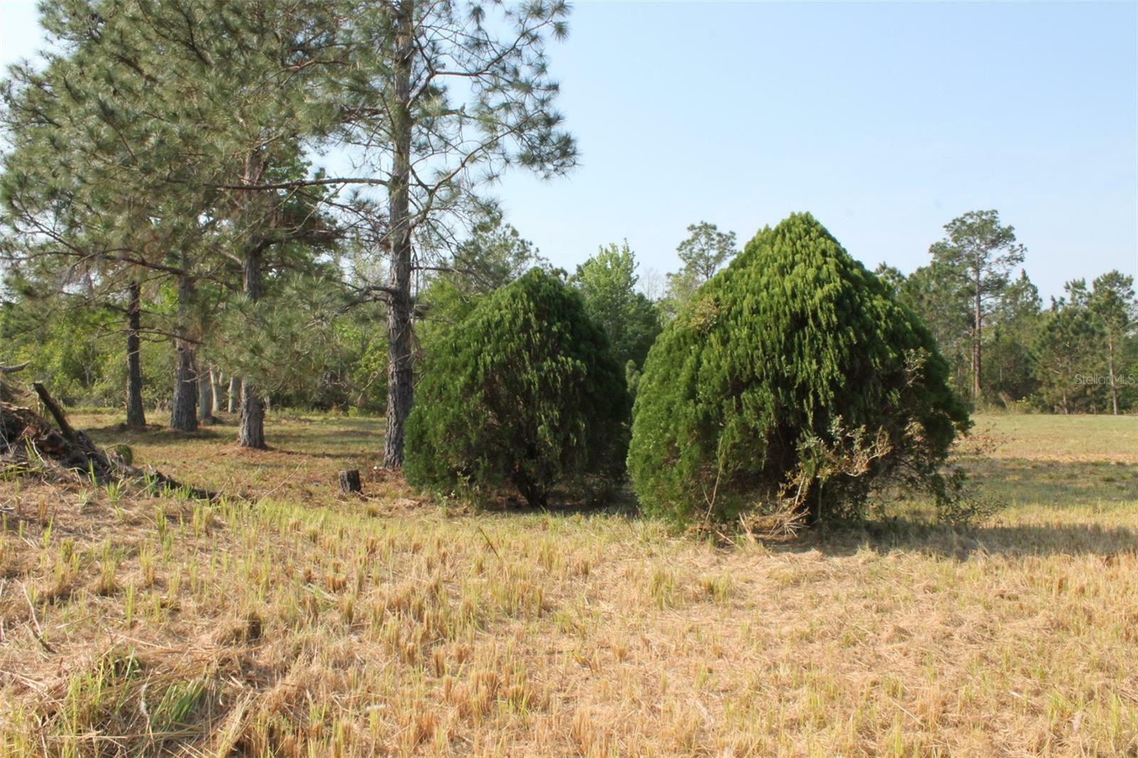 Property Photo:  State Road 33 Lot 111  FL 34711 