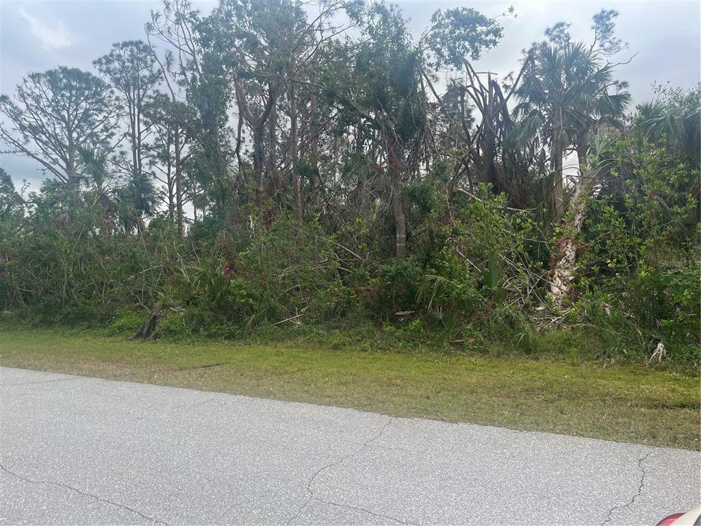 Property Photo:  11949 Newgate Avenue  FL 33981 