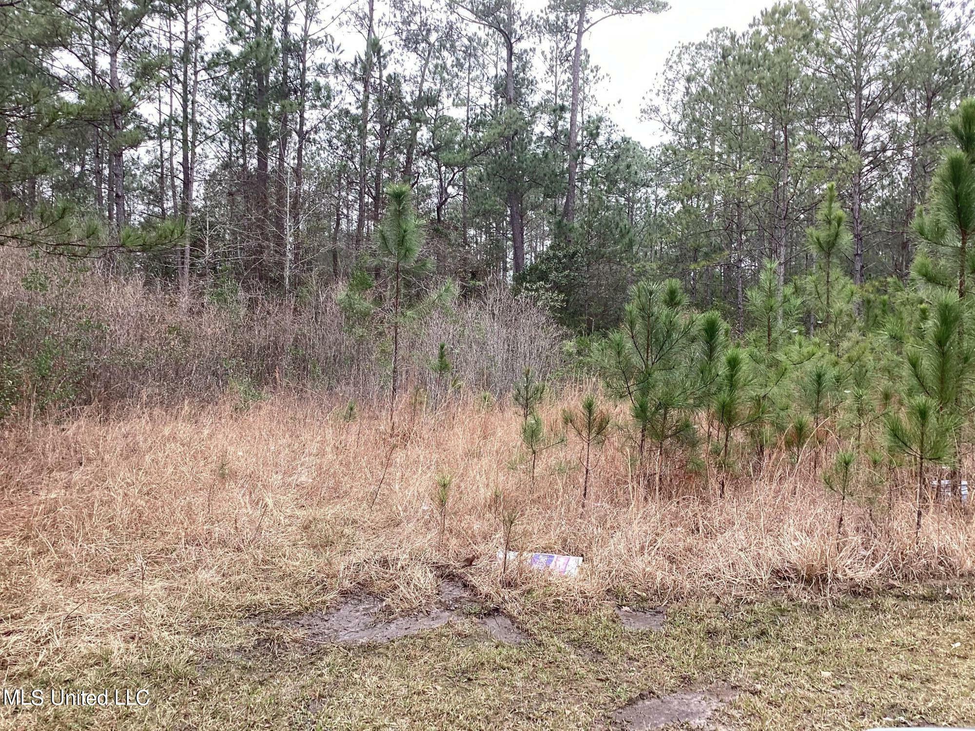 Property Photo:  Martin Bluff Rd Road  MS 39553 