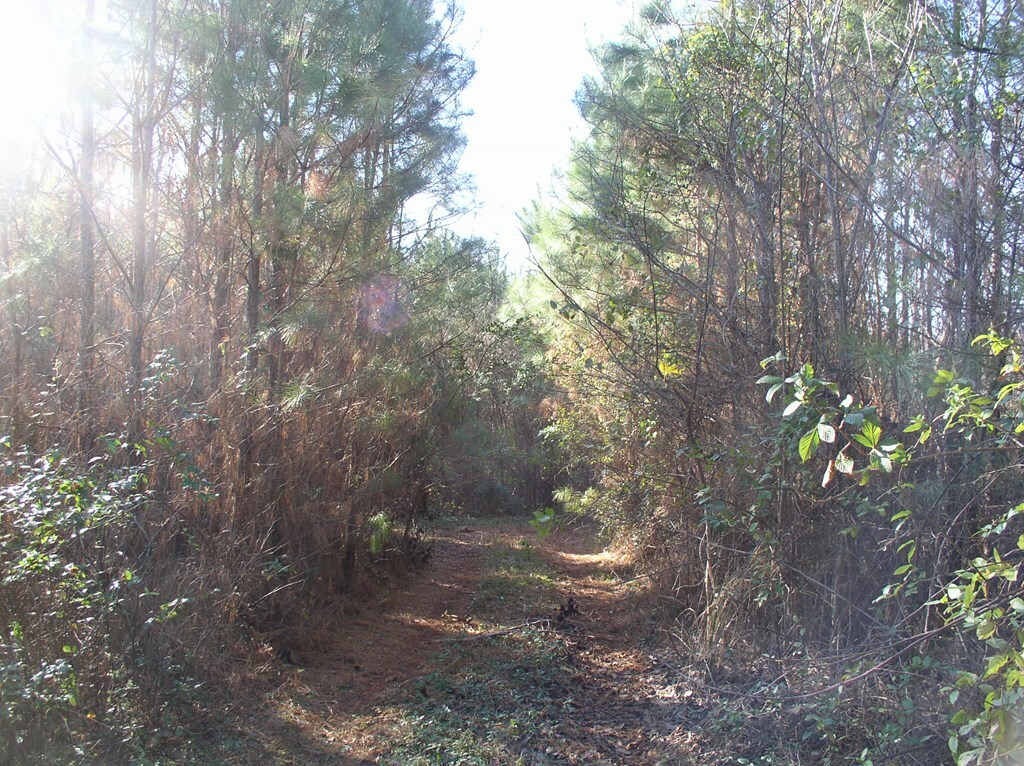 Property Photo:  0 Luna Road  NC 27589 