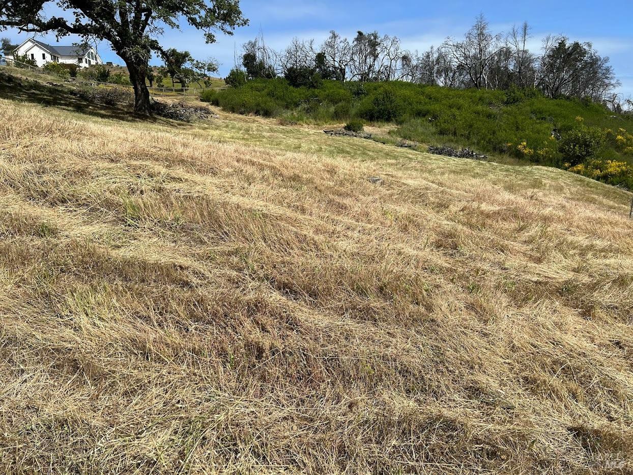 Property Photo:  3950 Silver Fox Court  CA 95403 