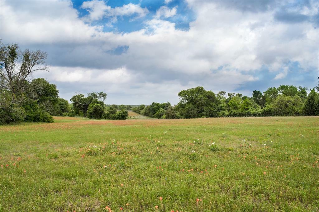 Property Photo:  20695 Pickens Road  TX 77880 