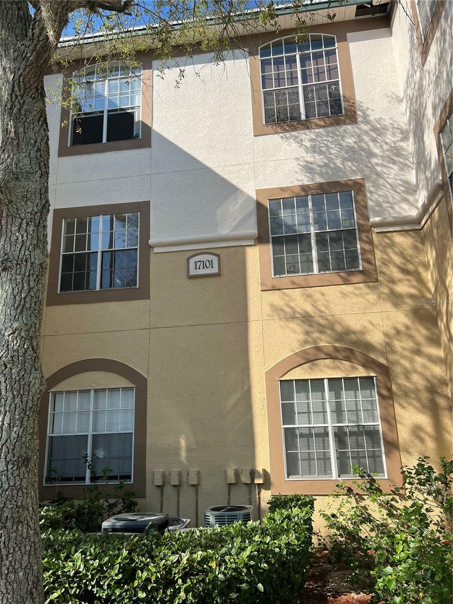 Property Photo: 17101 Carrington Park Drive 423 FL 33647