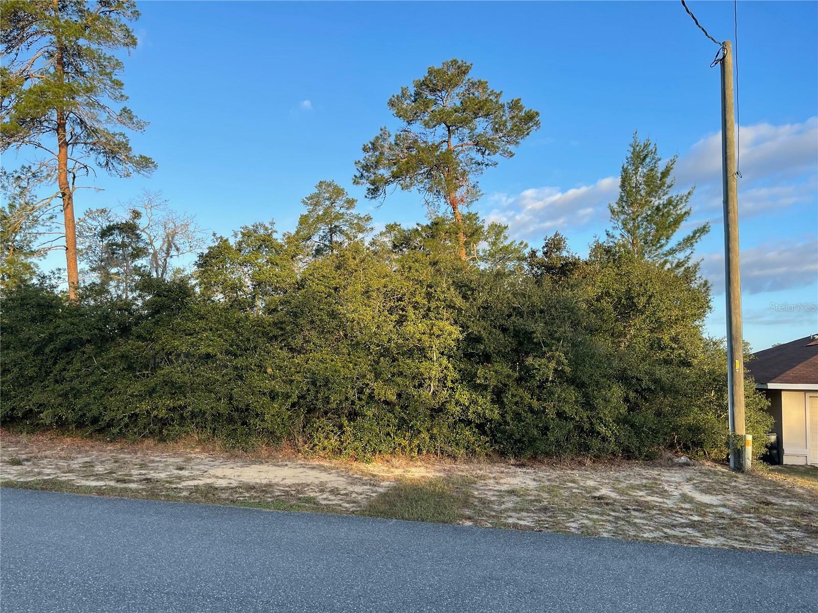 Property Photo:  SW 165th Street  FL 34473 