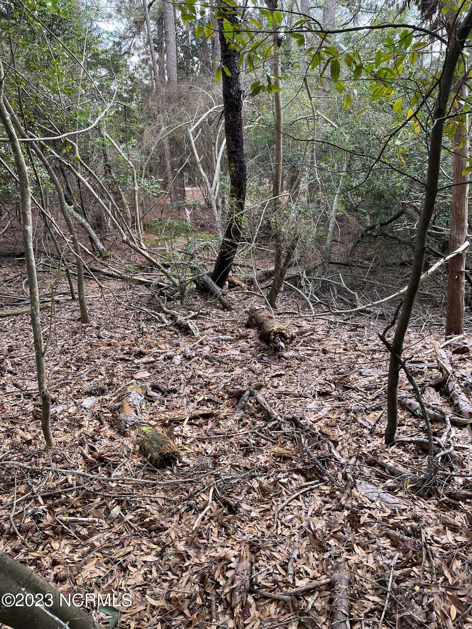 Property Photo:  225 Merion Circle  NC 28374 