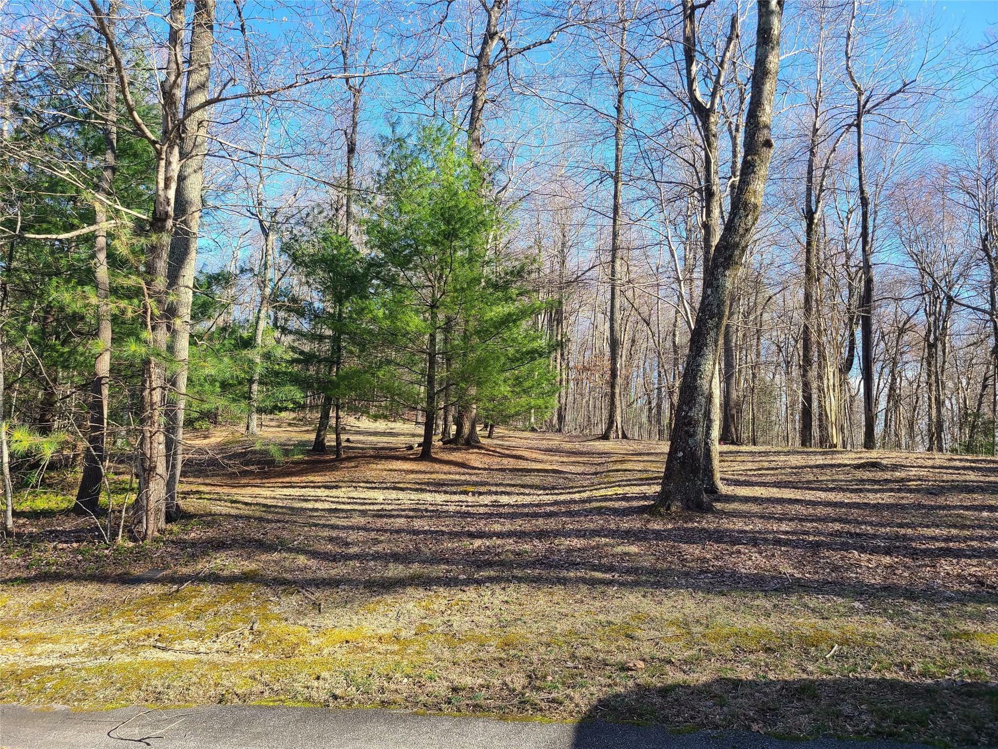 Property Photo: Tbd Corbin Mountain Road NC 28790