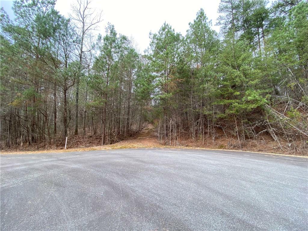 Property Photo:  Lot 19 East Ridge Lane  GA 30536 