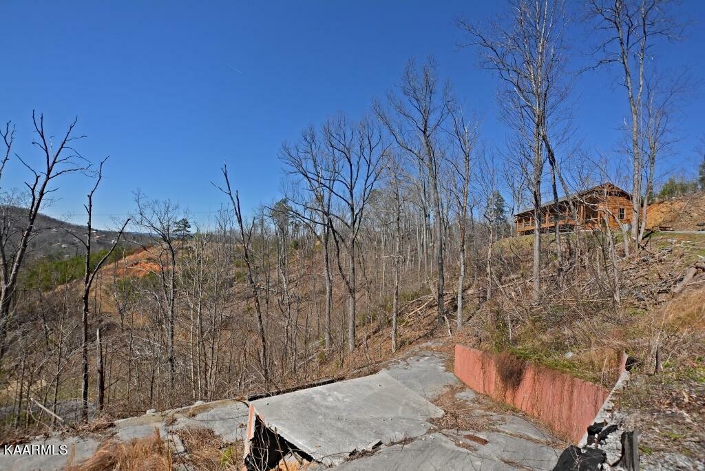 Property Photo:  1253 Appalachian Lane  TN 37738 