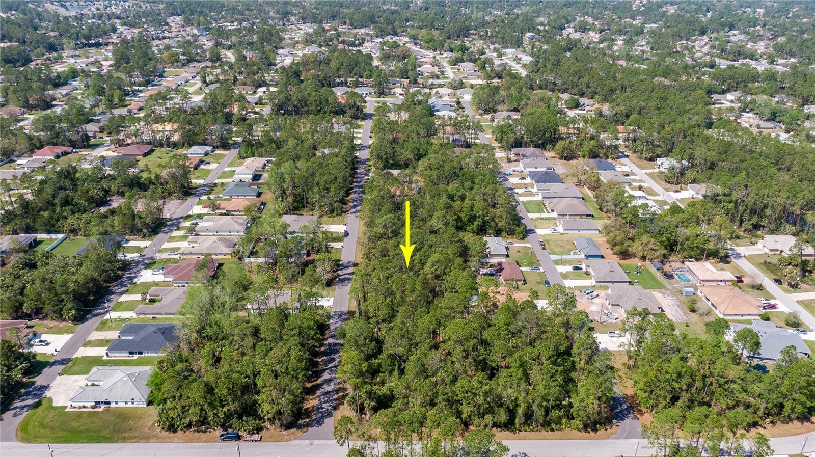 Property Photo:  27 Pontiac Lane  FL 32164 