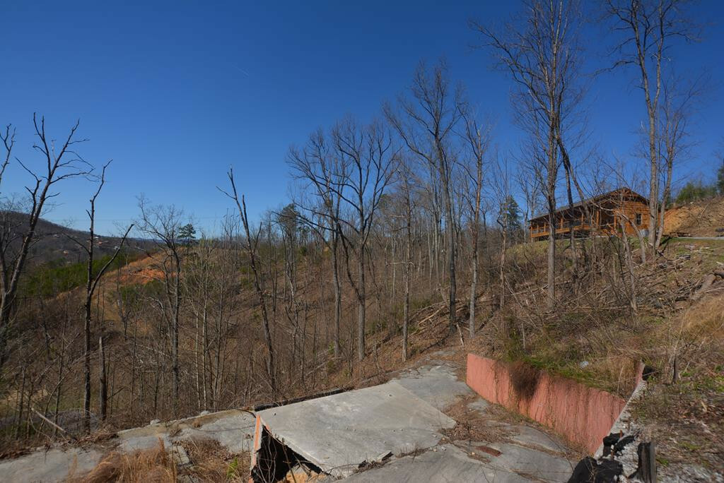 Property Photo:  1253 Appalachian Lane  TN 37738 