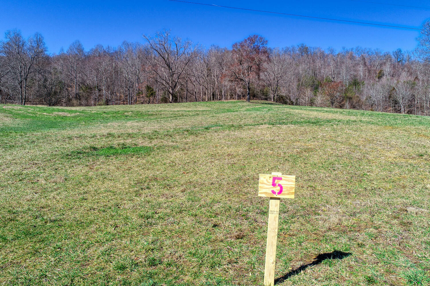 Property Photo:  Lot 5 Tennessee Highway 70 S  TN 37857 