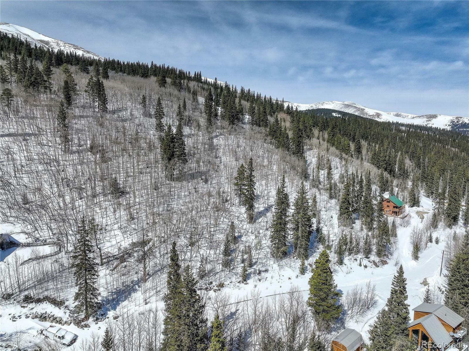 Property Photo:  1287 Quartzville Road  CO 80420 